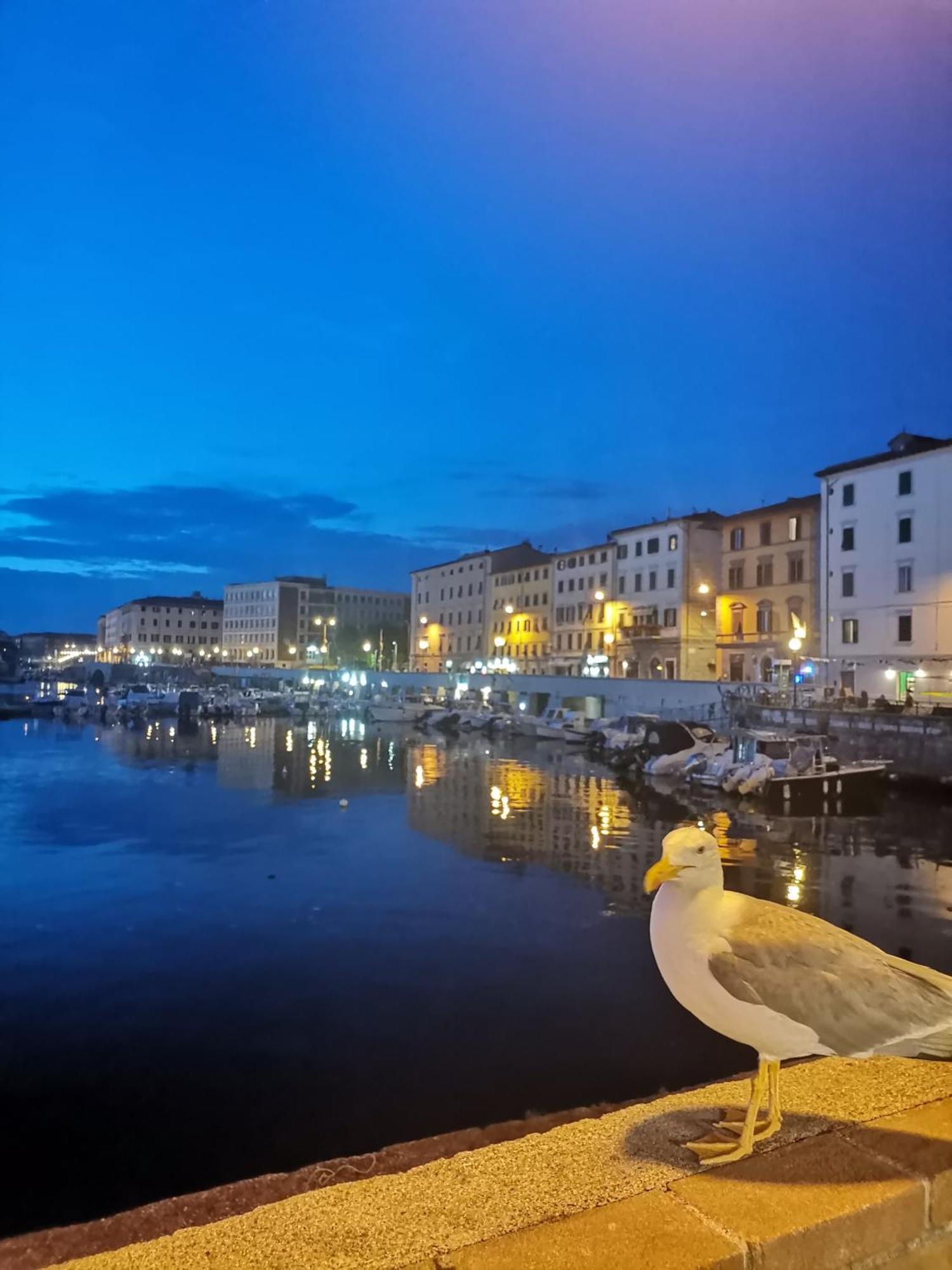 Residenza Vittoria Livorno Apartman Kültér fotó